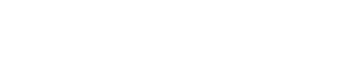 wz1